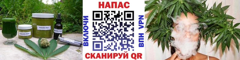 Canna-Cookies марихуана  Гатчина 