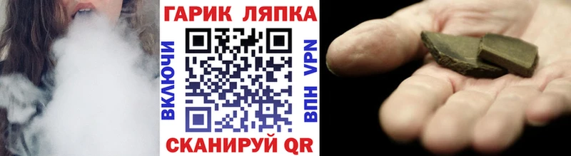 где купить наркоту  Гатчина  ГАШИШ Изолятор 