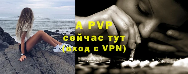 бошки Верея