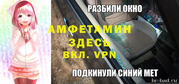 крисы Сатка