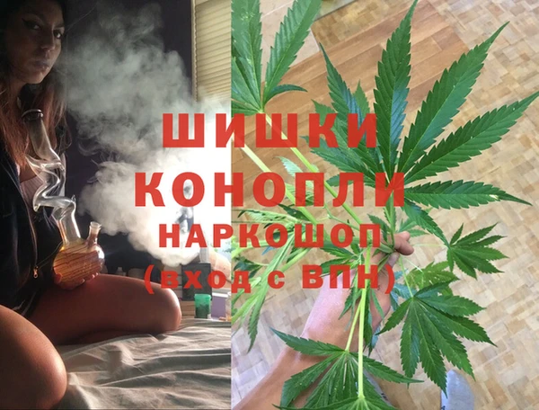 бошки Верея